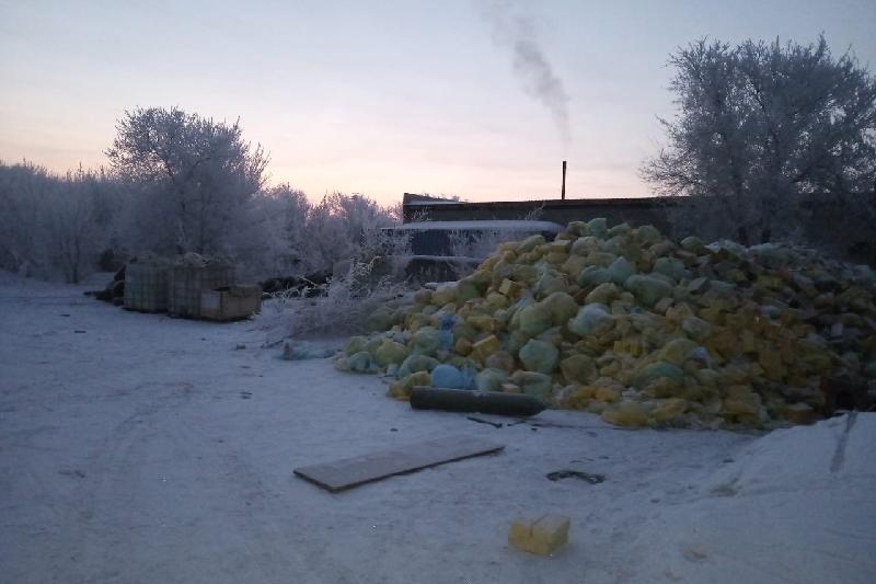  Незаконную утилизацию опасных медицинских отходов выявили в Павлодаре 