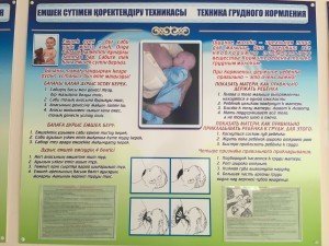  Стартовал декадник по Национальной недели грудного вскармливания в рамках Всемирной недели грудного вскармливания в Казахстане с 1 по 7 августа 2016 года под девизом «Грудное вскармливание – больше, чем просто питание». 
