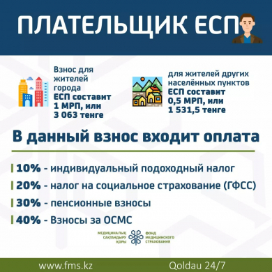 Плательщик ЕСП