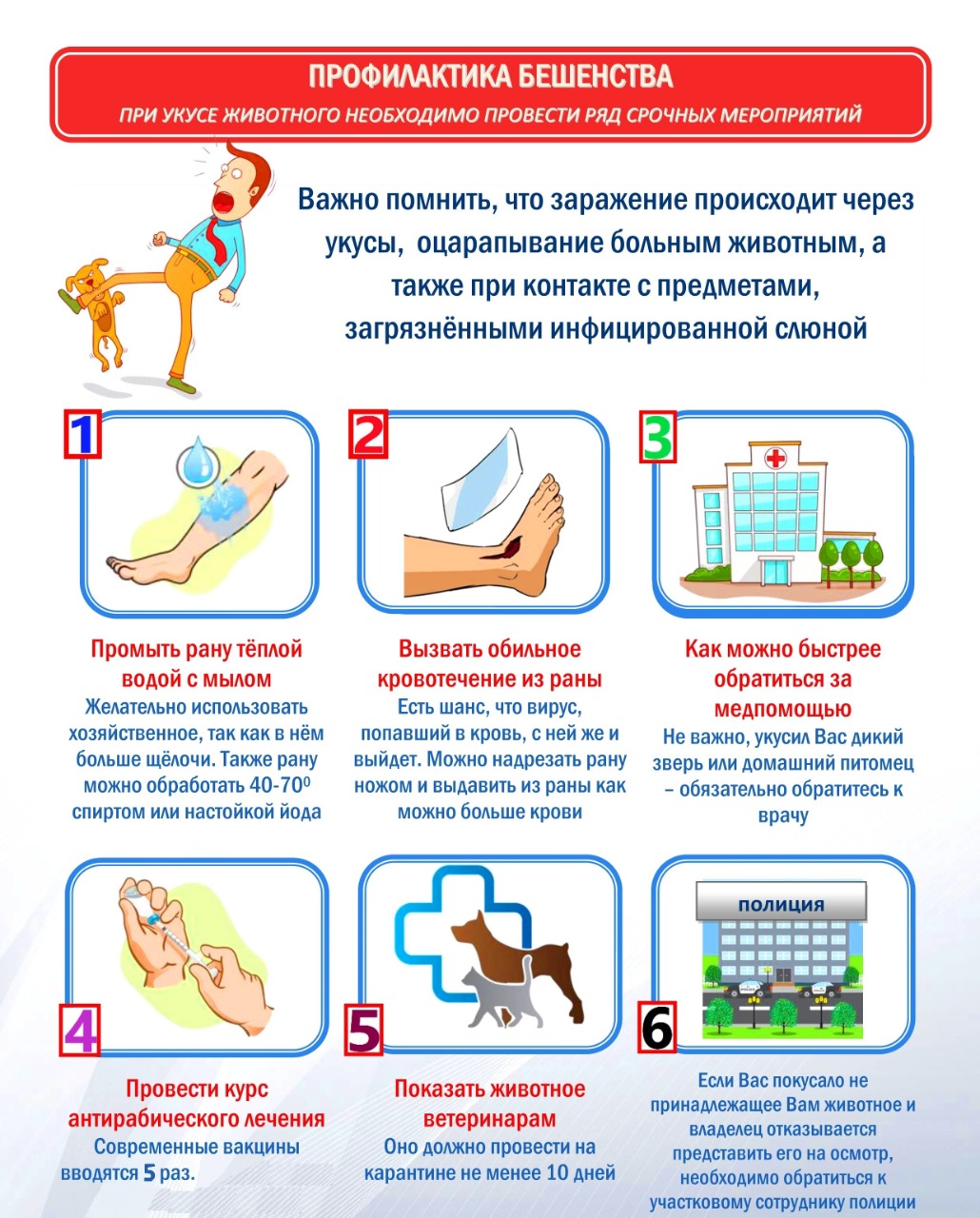Бешенство
