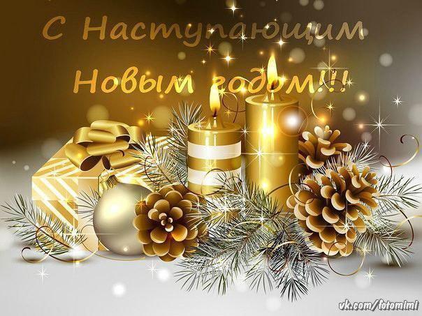С Новым годом, уважаемые коллеги, друзья!