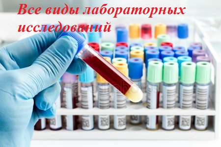 Все виды лабораторных исследований
