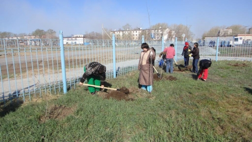 20 апреля прошел городской субботник.