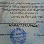 Физкультура и спорт