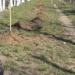 Областной субботник!