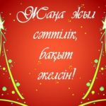 С Новым 2016 годом !
