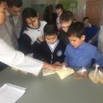 Лекция «Правильное питание»