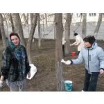 9 апреля — общегородской субботник.