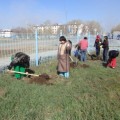 20 апреля прошел городской субботник.