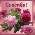 Спасибо, доктор!