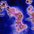 лекция для дерматовенерологических учреждений РК посредством телекоммуникационной связи согласно плана.