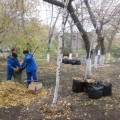 Субботник