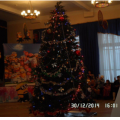 Новогодний утренник.