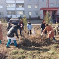 17 апреля 2015 года сотрудники ОКВД приняли участие в обще городском субботнике