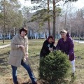 Участие в городском субботнике