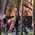 Коллектив  Павлодарского областного  диагностического  центра   провел  субботник  по  очистке  и благоустройству   территорий.