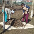 На субботник – всем коллективом