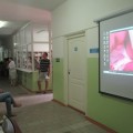Национальная неделя грудного вскармливания в рамках Международной недели грудного вскармливания в Казахстане с 3 по 10 августа 2015 года