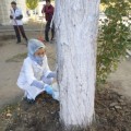 Общегородской субботник