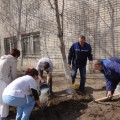 10 октября  2015 года состоялся общегородской субботник.