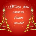 С Новым 2016 годом !