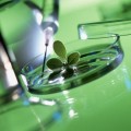 В рамках декадника 11 февраля 2016 года для медицинских работников поликлиники №1 провела семинар врач-онколог Абдуллина Ботагоз Толегеновна