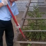 Субботник, посвященный празднованию Дня труда
