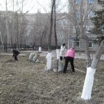 Наше общее дело — чистота и порядок!