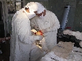 ЖАРАҚАТ ПЕН ОРТОПЕДИЯ БӨЛІМШЕСІ